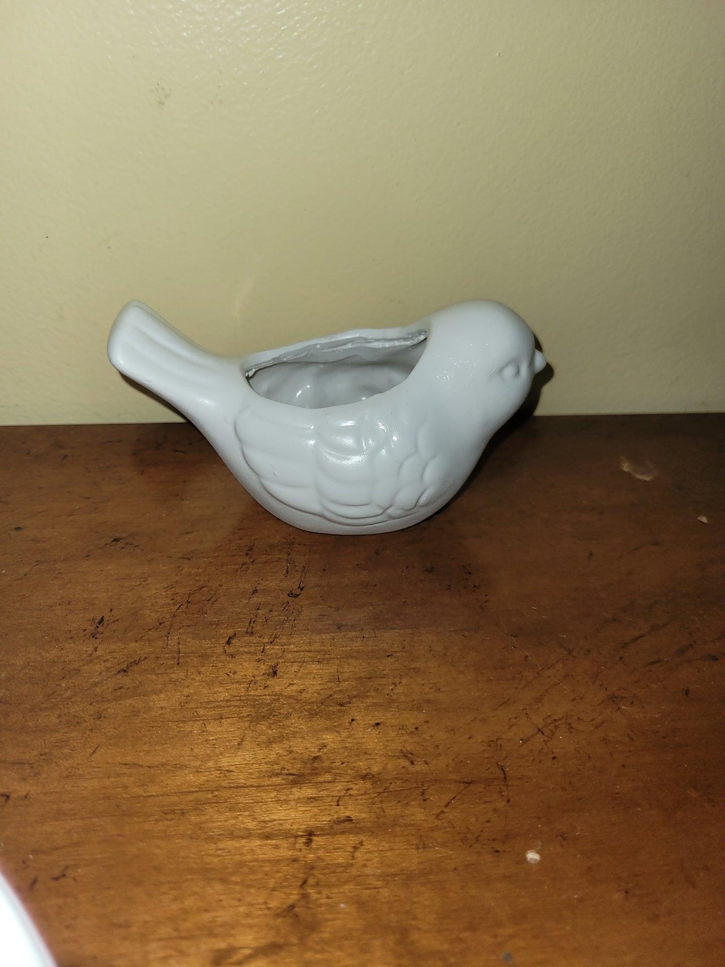 Little Bird Container